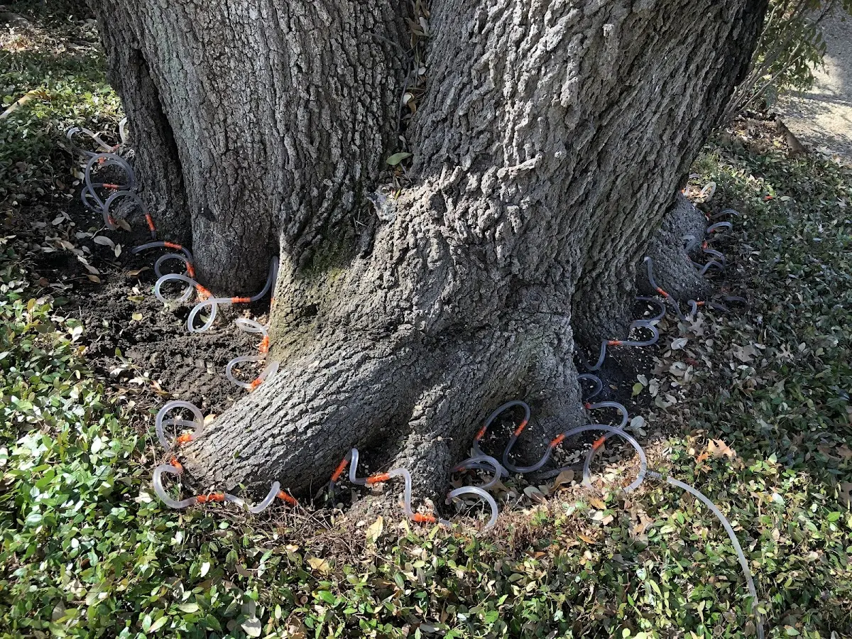 Detailed Shrub and Hedge Trimming job site in Hymera